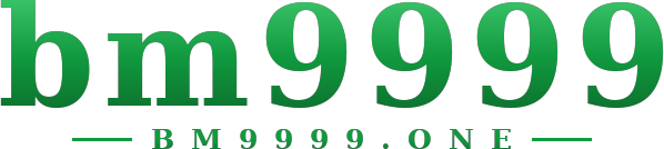 bm9999 logo